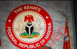 Senate: Natasha Threatens to Take National Assembly Clerk to Court if She is Blocked From Resuming Plenary Senate: Natasha Threatens to Take National Assembly Clerk to Court if She is Blocked From Resuming Plenary