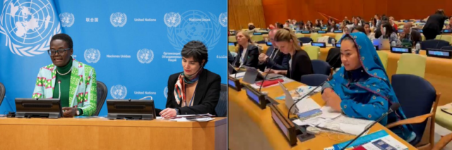 We will do the Necessary, but we Will have to 'Hear From The Other Side' — UN Inter-Parliamentary Union Promises, After Sen. Natasha Reported her Suspension and Sexual Harassment Allegations to the Union