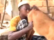 Kano Man Arrested For Licking Goat Genitals Kano Man Arrested For Licking Goat Genitals