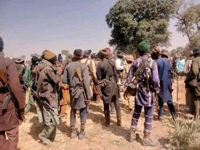 "We killed them and their wives; Many of them have also fled; The forest is now under our control” — Plateau Vigilantes Claim as They Took Fight to Bandits in the Forest