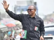 2023 Elections: Peter Obi Won Lagos Because There are More Igbos in Lagos Than Any Other Tribe — Ex-Borno Governor Sheriff Claims (VIDEO) 2023 Elections: Peter Obi Won Lagos Because There are More Igbos in Lagos Than Any Other Tribe — Ex-Borno Governor Sheriff Claims