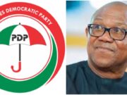 BREAKING: PDP Has Begun Moves to Bring Peter Obi Back to the Party BREAKING: PDP Has Begun Moves to Bring Peter Obi Back to the Party