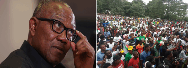 BREAKING: Police Stop Pro-Peter Obi Birthday Rally in Kaduna, Vows to Deal with Anyone that Violates the Order