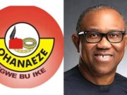 Allow Tinubu to Complete Second Term — Ohanaeze Ndigbo Begs Peter Obi Allow Tinubu to Complete Second Term — Ohanaeze Ndigbo Begs Peter Obi