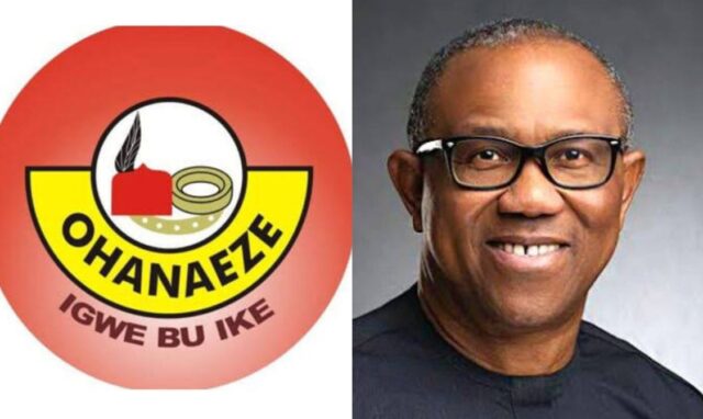 Allow Tinubu to Complete Second Term — Ohanaeze Ndigbo Begs Peter Obi
