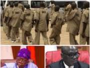 BREAKING: Over 300 Repentant Terrorists Undergoing Rehabilitation in Gombe, Says Tinubu’s Govt BREAKING: Over 300 Repentant Terrorists Undergoing Rehabilitation in Gombe, Says Tinubu's Govt