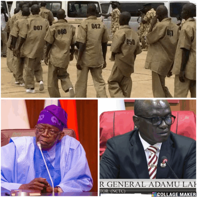 BREAKING: Over 300 Repentant Terrorists Undergoing Rehabilitation in Gombe, Says Tinubu's Govt