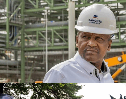 VIDEO: “Our Drivers Earn Four Times Minimum Wage, Get House Loans” — Dangote Claims as He Asks NUPENG Drivers to Join His Company if They Want to, and Earn Better VIDEO: "Our Drivers Earn Four Times Minimum Wage, Get House Loans" — Dangote Claims as He Asks NUPENG Drivers to Join His Company if They Want to, and Earn Better