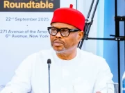 Minister Nnaji Resigns After University of Nigeria Nsukka Denied His Certificate, Claiming it Was Forged Minister Nnaji Resigns After University of Nigeria Nsukka Denied His Certificate, Claiming it Was Forged