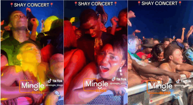 VIDEO: Woman Captured in a Funny Way While Receiving From Behind During a Music Concert in a Tight Crowd