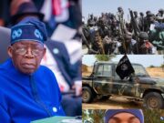 JUST IN: “In the days ahead, we will Kidnap President Tinubu” — Terrorist Commander Brags About Kidnapping Governors and the President (Video) JUST IN: "In the days ahead, we will Kidnap President Tinubu" — Terrorist Commander Brags About Kidnapping Governors and the President (Video)