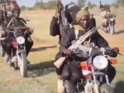 BREAKING: ‘Repentant Bandits’ Back to Terrorising Kaduna Communities, Farmers Lose 97 Cattle in One Week BREAKING: ‘Repentant Bandits’ Back to Terrorising Kaduna Communities, Farmers Lose 97 Cattle in One Week