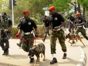 BREAKING: Police, Military, Other Security Forces Sweep Forests to Find Abducted Catholic School Students in Niger BREAKING: Police, Military, Other Security Forces Sweep Forests to Find Abducted Catholic School Students in Niger