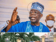 Presidency Tells Nigerians To Report Anyone Violating Tinubu’s VIP Police Withdrawal Order Presidency Tells Nigerians To Report Anyone Violating Tinubu’s VIP Police Withdrawal Order