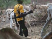 VIDEO: Stop Foreign Herders From Entering Nigeria — Fulani Herdsman Warns FG Stop Foreign Herders From Entering Nigeria — Fulani Herdsman Warns FG