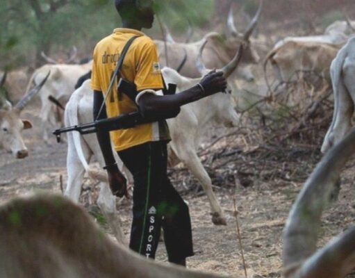 VIDEO: Stop Foreign Herders From Entering Nigeria — Fulani Herdsman Warns FG Stop Foreign Herders From Entering Nigeria — Fulani Herdsman Warns FG