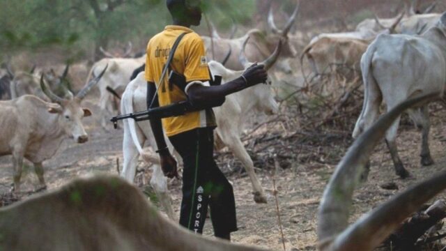 Stop Foreign Herders From Entering Nigeria — Fulani Herdsman Warns FG