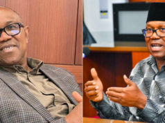 I will not be vice-president to anybody ~ Peter Obi I will not be vice-president to anybody ~ Peter Obi